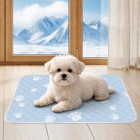 BWX Cooling Mat for Dogs - Easy Clean & Fold Cool Mat for Dogs, Chew Resistant Dog Cooling Pad, Chew Resistant Dog Cooling Pad, with Non-Slip Bottom & Chill Soothing Fabric (M/20''×28'') in Kuwait