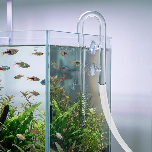 QWORK Glass Inflow Aquarium Lily Pipe - 17mm for 5/8''(16/22mm) Tubing, for Aquarium Planted Tank, Suction Cups Included in Kuwait