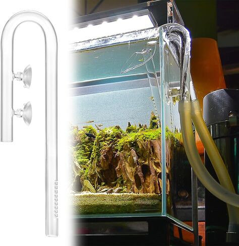 QWORK Glass Inflow Aquarium Lily Pipe - 17mm for 5/8''(16/22mm) Tubing, for Aquarium Planted Tank, Suction Cups Included in Kuwait
