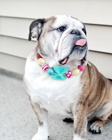Hosiwei Princess Bubblegum Dog Collar Necklace - 19mm Chunky Beads & Sparkle Bow | Adjustable Dog Pearl Collar with Bowtie Pet Jewelry Accessories for Daily Wear, Halloween Costumes & Photoshoots in Kuwait