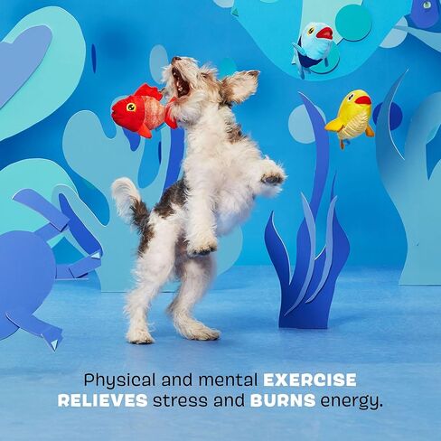 Barkbox The Groupers in Kuwait
