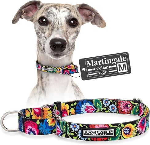 Lucky Love Dog Martingale Dog Collar - Adjustable, No-Slip, Durable, & Soft Webbing Collar for Male and Female Dogs Ideal for Training & Walking - Blackbird, Medium in Kuwait