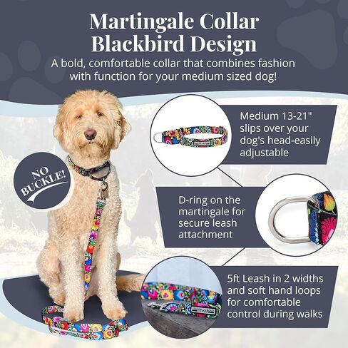 Lucky Love Dog Martingale Dog Collar - Adjustable, No-Slip, Durable, & Soft Webbing Collar for Male and Female Dogs Ideal for Training & Walking - Blackbird, Medium in Kuwait