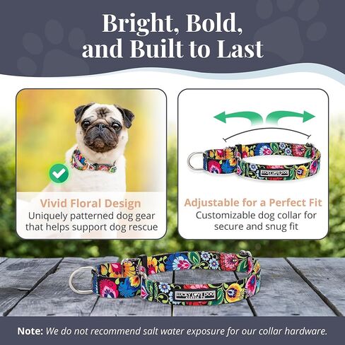 Lucky Love Dog Martingale Dog Collar - Adjustable, No-Slip, Durable, & Soft Webbing Collar for Male and Female Dogs Ideal for Training & Walking - Blackbird, Medium in Kuwait