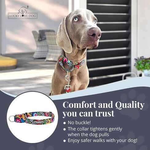 Lucky Love Dog Martingale Dog Collar - Adjustable, No-Slip, Durable, & Soft Webbing Collar for Male and Female Dogs Ideal for Training & Walking - Blackbird, Medium in Kuwait