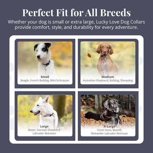 Lucky Love Dog Martingale Dog Collar - Adjustable, No-Slip, Durable, & Soft Webbing Collar for Male and Female Dogs Ideal for Training & Walking - Blackbird, Medium in Kuwait