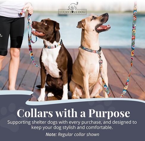 Lucky Love Dog Martingale Dog Collar - Adjustable, No-Slip, Durable, & Soft Webbing Collar for Male and Female Dogs Ideal for Training & Walking - Blackbird, Medium in Kuwait