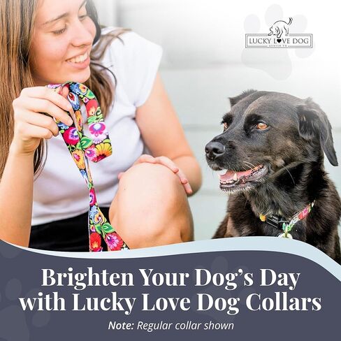 Lucky Love Dog Martingale Dog Collar - Adjustable, No-Slip, Durable, & Soft Webbing Collar for Male and Female Dogs Ideal for Training & Walking - Blackbird, Medium in Kuwait