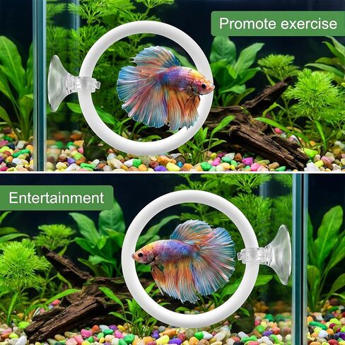 Betta Fish Tank Accessories, 2 Pcs Betta Exercise Ring and Bettas Mirror with Floating Ball, Plastic Bettas Fish Toys for Enrichment Aquarium, Fish Training & Play in Kuwait