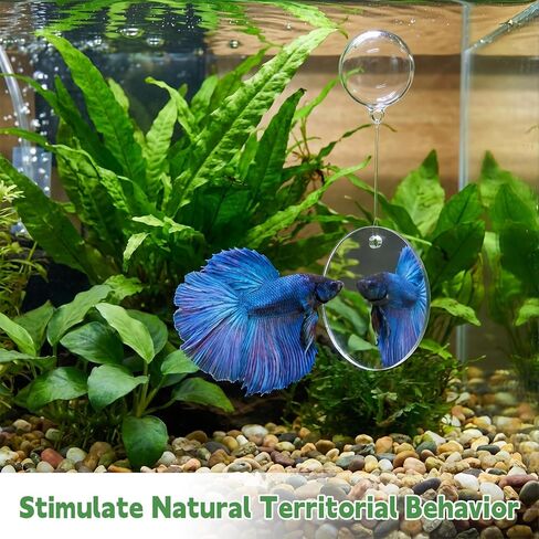 Betta Fish Tank Accessories, 2 Pcs Betta Exercise Ring and Bettas Mirror with Floating Ball, Plastic Bettas Fish Toys for Enrichment Aquarium, Fish Training & Play in Kuwait