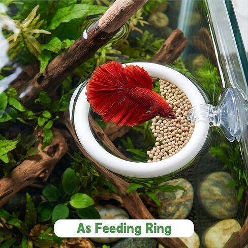 Betta Fish Tank Accessories, 2 Pcs Betta Exercise Ring and Bettas Mirror with Floating Ball, Plastic Bettas Fish Toys for Enrichment Aquarium, Fish Training & Play in Kuwait