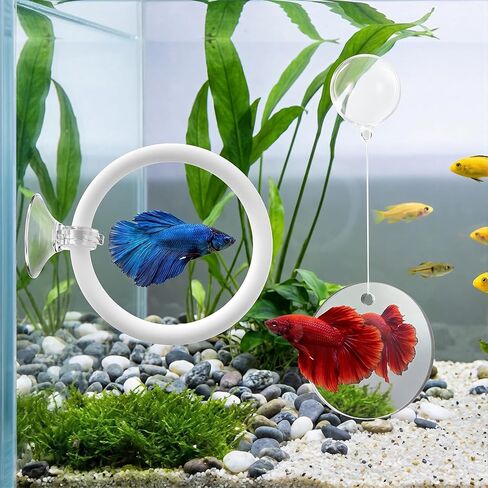 Betta Fish Tank Accessories, 2 Pcs Betta Exercise Ring and Bettas Mirror with Floating Ball, Plastic Bettas Fish Toys for Enrichment Aquarium, Fish Training & Play in Kuwait