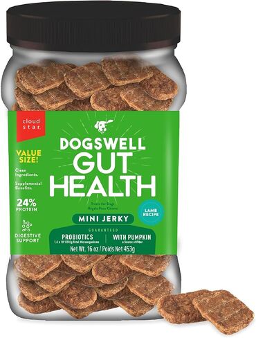 Dogswell القناة الهضمية الصحية لحم الضأن ميني متشنج الكلب يعامل، 16 أوقية. جرة in Kuwait