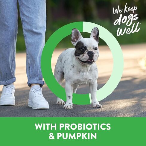 Dogswell القناة الهضمية الصحية لحم الضأن ميني متشنج الكلب يعامل، 16 أوقية. جرة in Kuwait