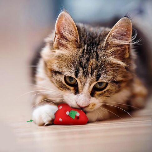 Andiker 5 Pcs Cat Mouse Toys, Soft Cat Plush Toy with Fruit Pattern Interactive Cat Toys for Indoor Cats and Kittens to Bite Chew Scratch in Kuwait
