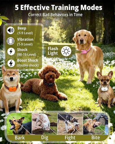 Shock Collar for Dogs 4 Pack (5–150Lbs), 4400FT Waterproof 4 Dog Training Collar with Remote Control 5 Training Modes Rechargeable Electric Dog Collar with Light, E Collars for Small Medium Large Dogs in Kuwait