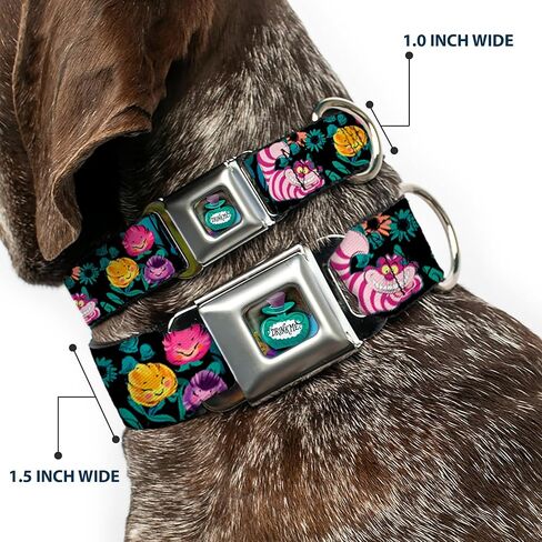 Dog Collar Seatbelt Buckle Alice Cheshire Cat Flowers Poses Black Multi Color 11 to 17 Inches 1.0 Inch Wide in Kuwait