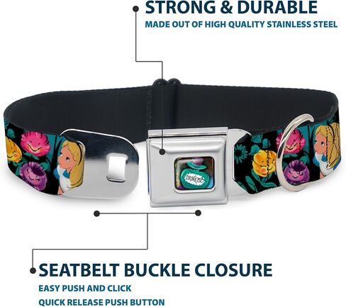Dog Collar Seatbelt Buckle Alice Cheshire Cat Flowers Poses Black Multi Color 11 to 17 Inches 1.0 Inch Wide in Kuwait