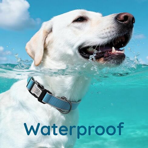 Reflective Personalized Dog Collar for Large Dogs, Soft Neoprene Padded Dog Collar with QR Code Anti-Lost Tag & Online Profile, Blue, L in Kuwait