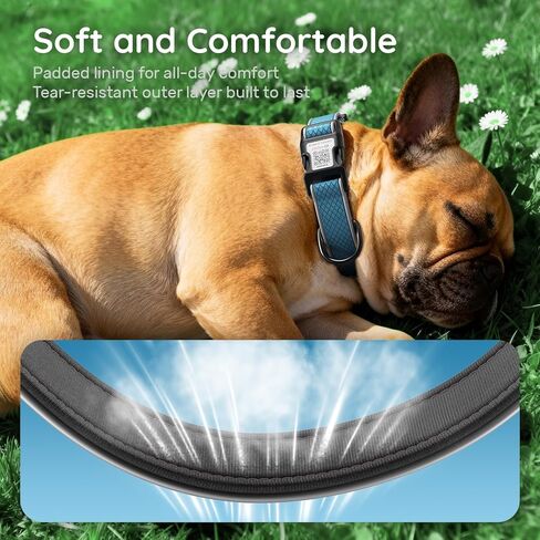 Reflective Personalized Dog Collar for Large Dogs, Soft Neoprene Padded Dog Collar with QR Code Anti-Lost Tag & Online Profile, Blue, L in Kuwait