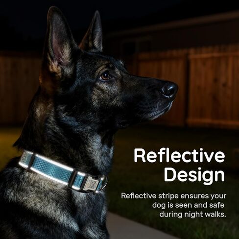 Reflective Personalized Dog Collar for Large Dogs, Soft Neoprene Padded Dog Collar with QR Code Anti-Lost Tag & Online Profile, Blue, L in Kuwait