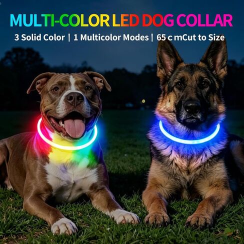 طوق الكلب LED، طوق لارو المضيء بألوان قوس قزح قابل لإعادة الشحن، طوق متوهج مرئي 360 درجة للمشي ليلاً، مصابيح آمنة مقاومة للماء للكلاب الصغيرة والمتوسطة والكبيرة in Kuwait
