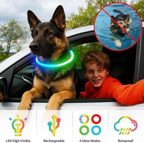 طوق الكلب LED، طوق لارو المضيء بألوان قوس قزح قابل لإعادة الشحن، طوق متوهج مرئي 360 درجة للمشي ليلاً، مصابيح آمنة مقاومة للماء للكلاب الصغيرة والمتوسطة والكبيرة in Kuwait