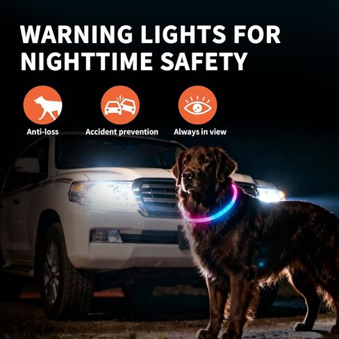 طوق الكلب LED، طوق لارو المضيء بألوان قوس قزح قابل لإعادة الشحن، طوق متوهج مرئي 360 درجة للمشي ليلاً، مصابيح آمنة مقاومة للماء للكلاب الصغيرة والمتوسطة والكبيرة in Kuwait