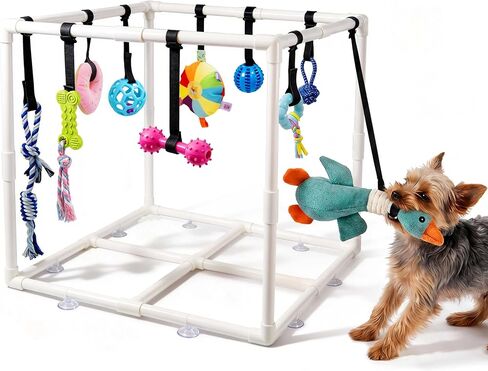 Puppy Play Gym with 15 Toys, Puppy Toys to Keep Them Busy Indoor Play Gym for Mental Stimulation, 23.2" Small Dog Play PVC Frame with Straps in Kuwait