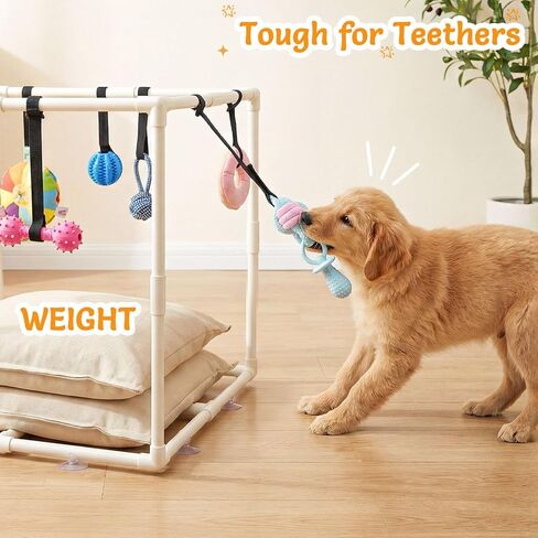 Puppy Play Gym with 15 Toys, Puppy Toys to Keep Them Busy Indoor Play Gym for Mental Stimulation, 23.2" Small Dog Play PVC Frame with Straps in Kuwait