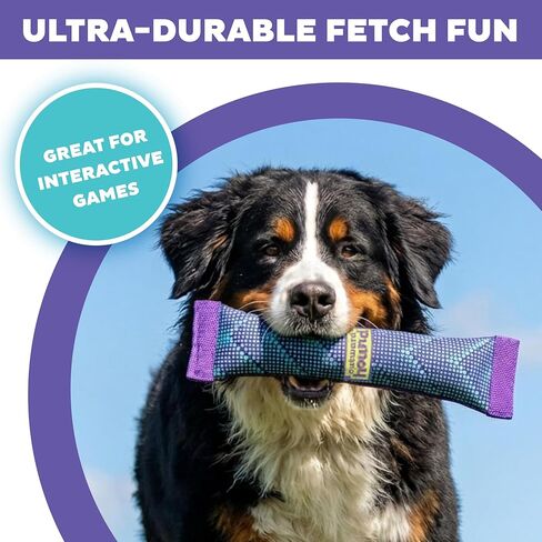Outward Hound FlyFetch Firehose Fetch Ultra-Durable Dog Toy with Squeaker, Floats in Water, All Breeds, 16" in Kuwait