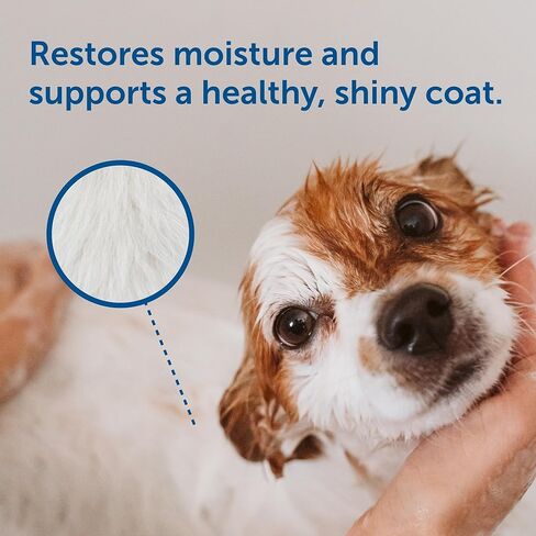 SolaceVet Aloe & Oatmeal Soothing Shampoo 12 oz – Veterinarian Recommended for Sensitive Skin in Dogs & Cats – Hypoallergenic, Soap-Free in Kuwait