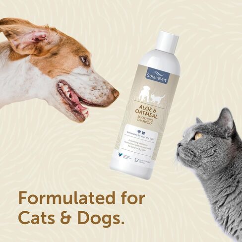 SolaceVet Aloe & Oatmeal Soothing Shampoo 12 oz – Veterinarian Recommended for Sensitive Skin in Dogs & Cats – Hypoallergenic, Soap-Free in Kuwait