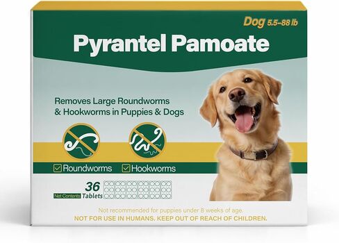Dog Dewormer Pyrantel Pamoate, Chewable Tablets for Dogs & Puppies, Roundworms & Hookworms, Easy Dosing, 36 Tablets in Kuwait