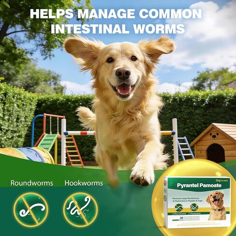 Dog Dewormer Pyrantel Pamoate, Chewable Tablets for Dogs & Puppies, Roundworms & Hookworms, Easy Dosing, 36 Tablets in Kuwait