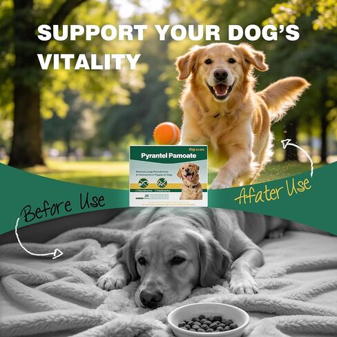 Dog Dewormer Pyrantel Pamoate, Chewable Tablets for Dogs & Puppies, Roundworms & Hookworms, Easy Dosing, 36 Tablets in Kuwait