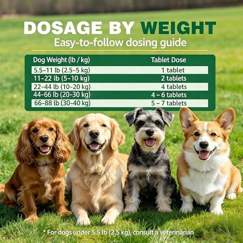 Dog Dewormer Pyrantel Pamoate, Chewable Tablets for Dogs & Puppies, Roundworms & Hookworms, Easy Dosing, 36 Tablets in Kuwait