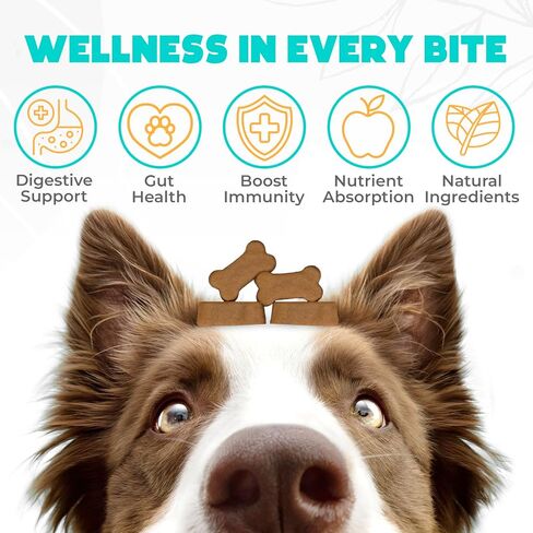 Probiotics for Dogs Chews 150PCs - Digestive, Gut Health & Diarrhea Support - Probiotic Chews for Dogs - Vet Approved US Formula with Dog Probiotics, Enzymes & Natural Ingredients - Chicken in Saudi Arabia
