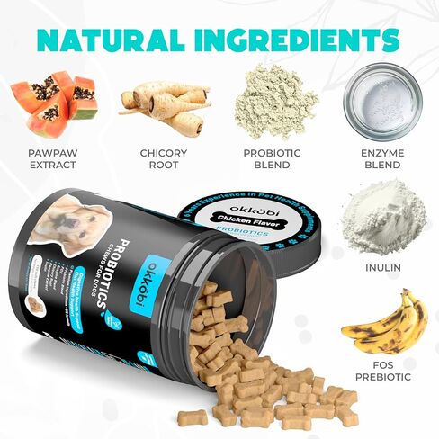 Probiotics for Dogs Chews 150PCs - Digestive, Gut Health & Diarrhea Support - Probiotic Chews for Dogs - Vet Approved US Formula with Dog Probiotics, Enzymes & Natural Ingredients - Chicken in Saudi Arabia