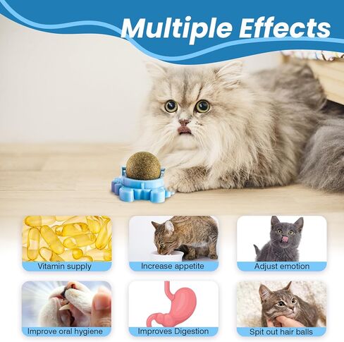Catnip Ball 4-Pack 360° Self-Rotating Cat Toy for Wall or Floor Mount – Interactive Licking & Chewing Roller for Indoor Play Enrichment and Daily Activi in Kuwait
