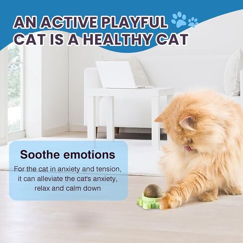 Catnip Ball 4-Pack 360° Self-Rotating Cat Toy for Wall or Floor Mount – Interactive Licking & Chewing Roller for Indoor Play Enrichment and Daily Activi in Kuwait