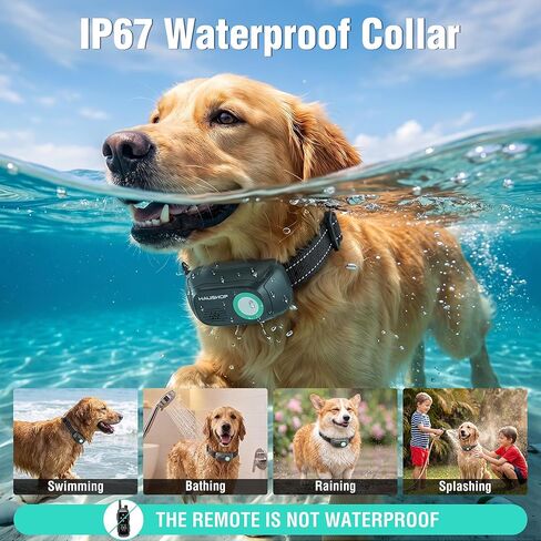 HAUSHOF Shock Collar for Dog, 2 Systems Dog Training Collar with Remote 4000FT Range, IP67 Waterproof Two-Way Communication Shock Collar with Positioning Light, Warning, Vibration(1 Collar) in Saudi Arabia