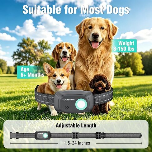 HAUSHOF Shock Collar for Dog, 2 Systems Dog Training Collar with Remote 4000FT Range, IP67 Waterproof Two-Way Communication Shock Collar with Positioning Light, Warning, Vibration(1 Collar) in Saudi Arabia