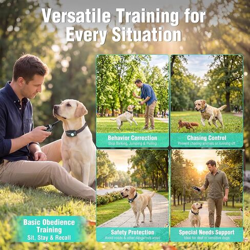 HAUSHOF Shock Collar for Dog, 2 Systems Dog Training Collar with Remote 4000FT Range, IP67 Waterproof Two-Way Communication Shock Collar with Positioning Light, Warning, Vibration(1 Collar) in Saudi Arabia