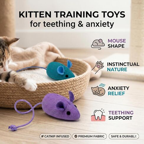 happi n pets 7 حزمة من ألعاب النعناع البري، لعبة فأر للقطط بألوان قوس قزح ملونة للقطط الداخلية، ألعاب قطط تفاعلية متينة من البوليستر للقطط البالغة بالملل، فئران مضغ ناعمة محشوة in Kuwait