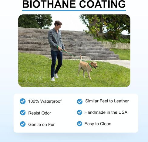 DogTraxs - طوق للكلاب مرصع بالبيوثين خفيف الوزن للكلاب المتوسطة - مقاوم للماء - إبزيم قابل للتعديل سريع التحرير - 3/4 بوصة عرض × 12-15 بوصة طول - أخضر نعناعي in Kuwait