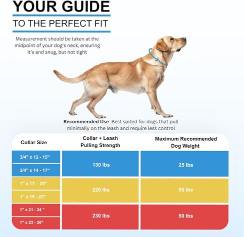 DogTraxs - طوق للكلاب مرصع بالبيوثين خفيف الوزن للكلاب المتوسطة - مقاوم للماء - إبزيم قابل للتعديل سريع التحرير - 3/4 بوصة عرض × 12-15 بوصة طول - أخضر نعناعي in Kuwait