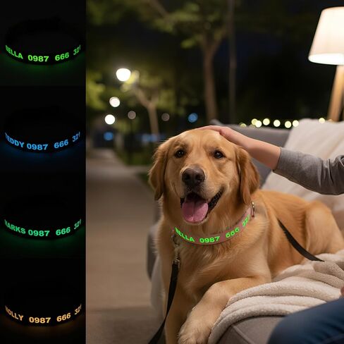 طوق الكلب الفلوري المخصص للكلاب من DOG WORLD - اسم مضيء ورقم هاتف مخصص للسلامة الليلية، ملحق أنيق وسهل الاستخدام للحيوانات الأليفة، مثالي للمشي ليلاً in Kuwait