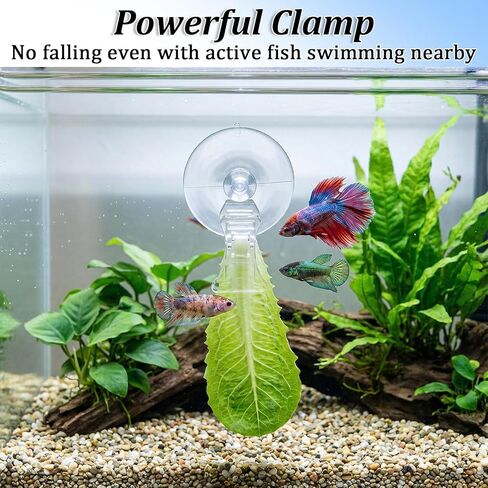 6 Pcs Aquarium Suction Cups with Clips - Aquarium Suction Cup Clips - Clear Plastic Fish Feeder Tool for Advertising Display Business Cards Fishes Feeding Veggie Feed Holder in Kuwait