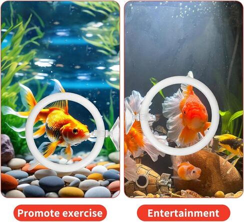Betta Fish Exercise Ring and Betta Mirror Floating Ball Set Training Enrichment Toys Fish Tank Decorations Resting & Feeding Kit Aquarium for Small Tank in Kuwait